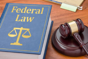 Read more about the article What Is a Federal Warrant?